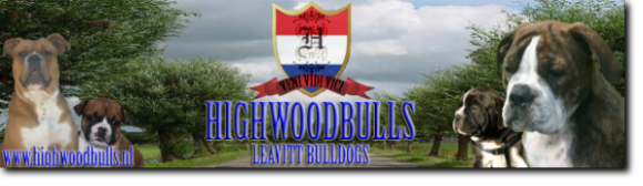 Highwoodbulls Leavitt Olde English Bulldogge