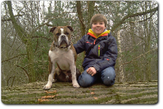 Leavitt Bulldog Olde Bulls' Diego - David Leavitts Olde English Bulldogge