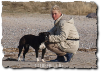 Leavitt Olde English Bulldogge am Strand