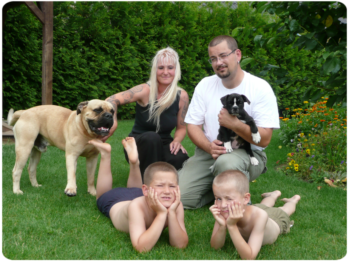 Leavitt Olde English Bulldogge auf oldebulls.de